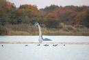 Loch_Ness_11_09