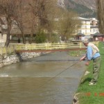 Picture_017