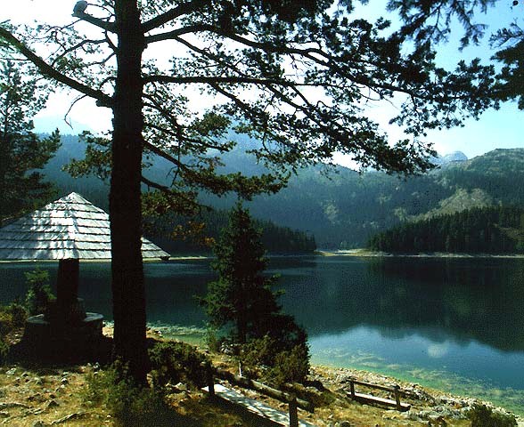 biogradsko-jezero.jpg