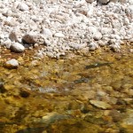 SANYO DIGITAL CAMERA