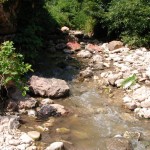 SANYO DIGITAL CAMERA