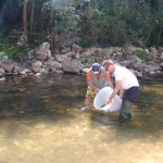 SANYO DIGITAL CAMERA