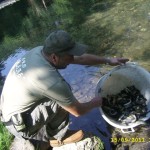 Digimax A50 / KENOX Q2