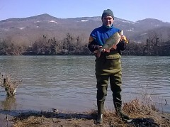 Kapitalac “Kapitalcu”