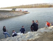 brcko-5