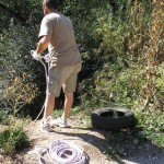 OLYMPUS DIGITAL CAMERA