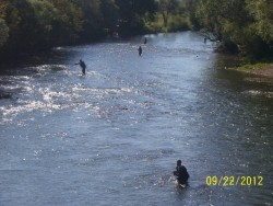 ROVENSTVO_RIBNIK_SANA_2012_FF