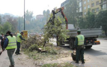 kjkp_park_stabla