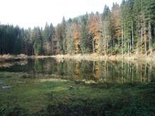 paucko-jezero-gorsko-oko-konjuh-kladanj