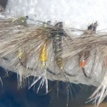 reg-MUSICE-OD-PIVSKOG-PETLA_620x0