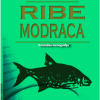 Ribe_modraca