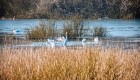 Denis Bašić - Ušće rijeke Turije u Modrac