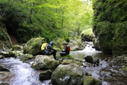 Rijeka Hrcavka, photo Mato Gotovac WWF