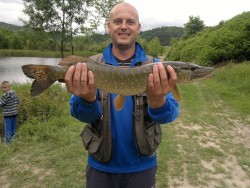 Zajko-stuka-septembar-2014