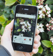 plantnet