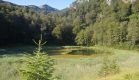 Zarasta u travu i algu Crno jezero na Zelengori. Potrebno mu je vratiti stari sjaj (Foto, I. BAJROVIC)