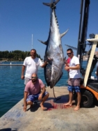 najveca_tuna_hrvatska