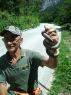 Ž7=Vratar  stanište  zmija smuka i crnih šarki, Čedo Damjanović  (Foto, I. BAJROVIĆ)