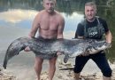Kakav ulov: Sportski ribolovci ulovili soma dugog 2,15 metara