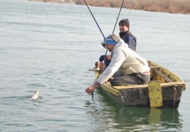 Neukrotiva Drina raj za ribolovce