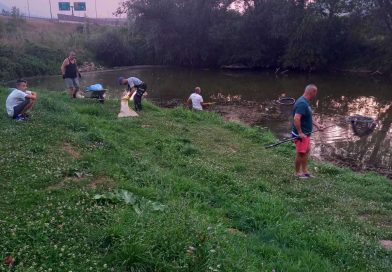 (VIDEO) Visoke temperature prouzrokovalo pomor ribe u Ribarskoj oazi Lađenici u Dobroševićima