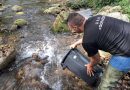 USR Goražde: Izvršeno poribljavanje Osanice i Drine potočnom pastrmkom