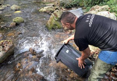 USR Goražde: Izvršeno poribljavanje Osanice i Drine potočnom pastrmkom