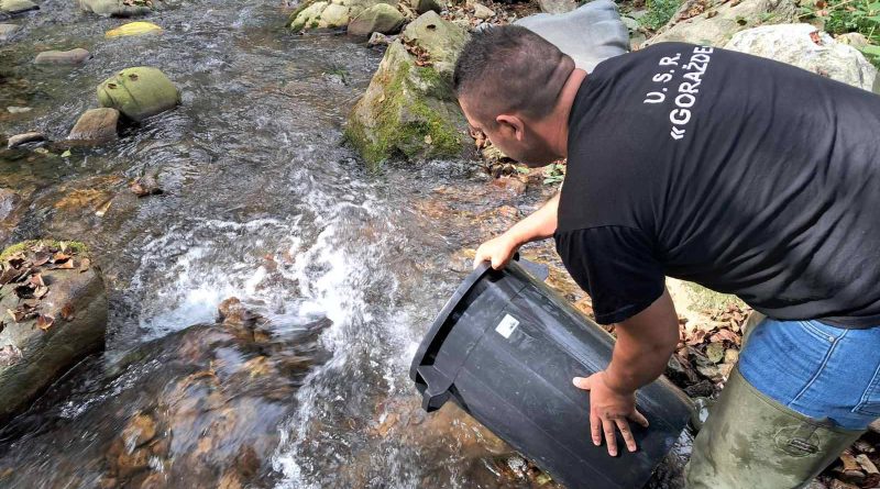 USR Goražde: Izvršeno poribljavanje Osanice i Drine potočnom pastrmkom
