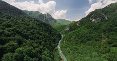 Naučnici iz cijele Evrope poslali pismo bh. vlastima: Hitno preispitati rad HE Ulog i istražiti pomor ribe!