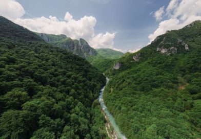 Naučnici iz cijele Evrope poslali pismo bh. vlastima: Hitno preispitati rad HE Ulog i istražiti pomor ribe!