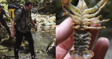 Fascinantno otkriće kod Prozora: U rijeci Volujak pronađena vrsta raka koja je preživjela ledeno doba