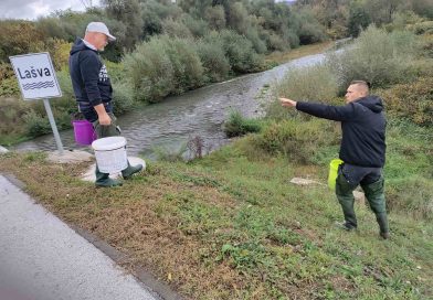 USR Vitez: Izvršeno poribljavanje Lašve, Bile, Kruščice i njihovih pritoka sa mlađi potočne pastrmke iz vlastitog uzgoja