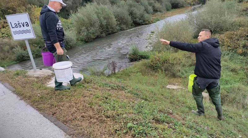 USR Vitez: Izvršeno poribljavanje Lašve, Bile, Kruščice i njihovih pritoka sa mlađi potočne pastrmke iz vlastitog uzgoja