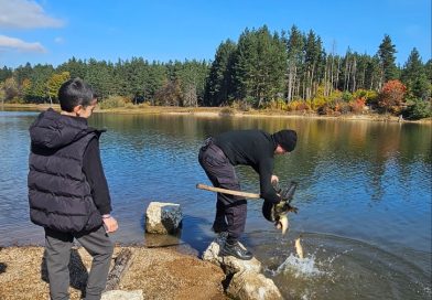 Tреће овогодишње порибљавање језера Aлаговац
