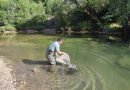 SRD Trebinje: Izvršeno poribljavanje Sušice, Trebišnjice i Goričkog jezera