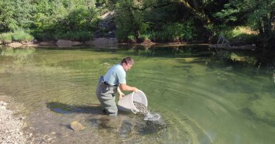 SRD Trebinje: Izvršeno poribljavanje Sušice, Trebišnjice i Goričkog jezera
