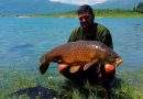 Upecao šarana od 17,5 kilograma na Ramskom jezeru