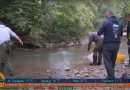 (VIDEO) USR ‘Bistrica’ Pale: Riblji fond rijeke Prače bogatiji za oko 4.000 komada potočne pastrmke