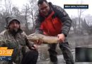 NOVA S: Kako izgleda lov na kralja alpskih reka? (VIDEO)