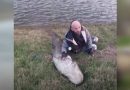 Buško jezero: Ulovljen som dužine preko 2 metra
