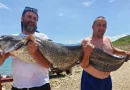 Značajan trofej: Ribari na jezeru u BiH ulovili “zvijer” tešku 37, 6 kilograma