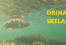 BistroBiH! DRON: Drina, Skelani – Konak kod Zlatana Marčete