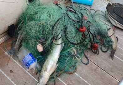 SRD Trebinje: Ribočuvarska služba provodi aktivnosti na otkrivanju krivolova na Bilećkom jezeru